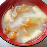 なめこと白菜、油揚げの味噌汁